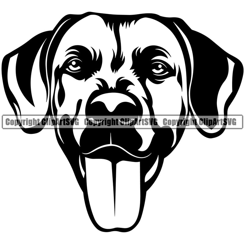 Rhodesian Ridgeback Dog Smile Face Design Puppy Canine K-9 K9 Animal Portrait Doggy Face Cute Head Purebred Pedigree Vector Clipart SVG