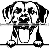 Rhodesian Ridgeback Dog Peeking Smile Face Design Puppy Pup Head Purebred Pedigree Canine  K9 Animal Portrait Doggy Face Cute Vector Clipart SVG