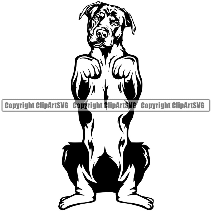 Rottweiler Dog Begging Face Design Puppy Pup Head Purebred Pedigree Canine K-9 K9 Animal Portrait Doggy Face Cute Vector Clipart SVG