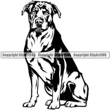 Rottweiler Dog Smile Face Design Puppy Pup Head Purebred Pedigree K-9 K9 Animal Portrait Doggy Face Cute Canine Vector Clipart SVG