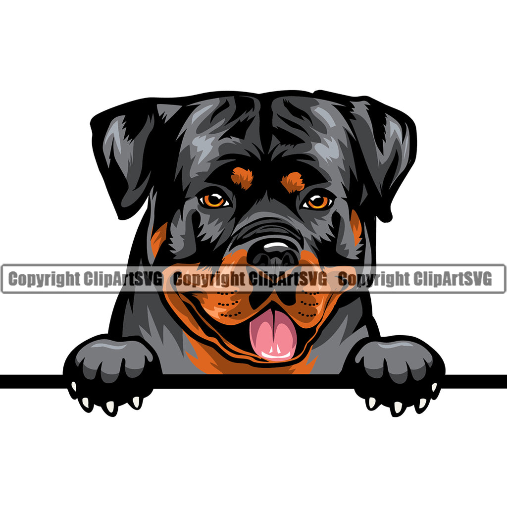 Rottweiler Dog Peeking Position Smile Face Design Puppy Pup Head Purebred Pedigree Canine K-9 K9 Animal Portrait Doggy Face Cute Vector Clipart SVG