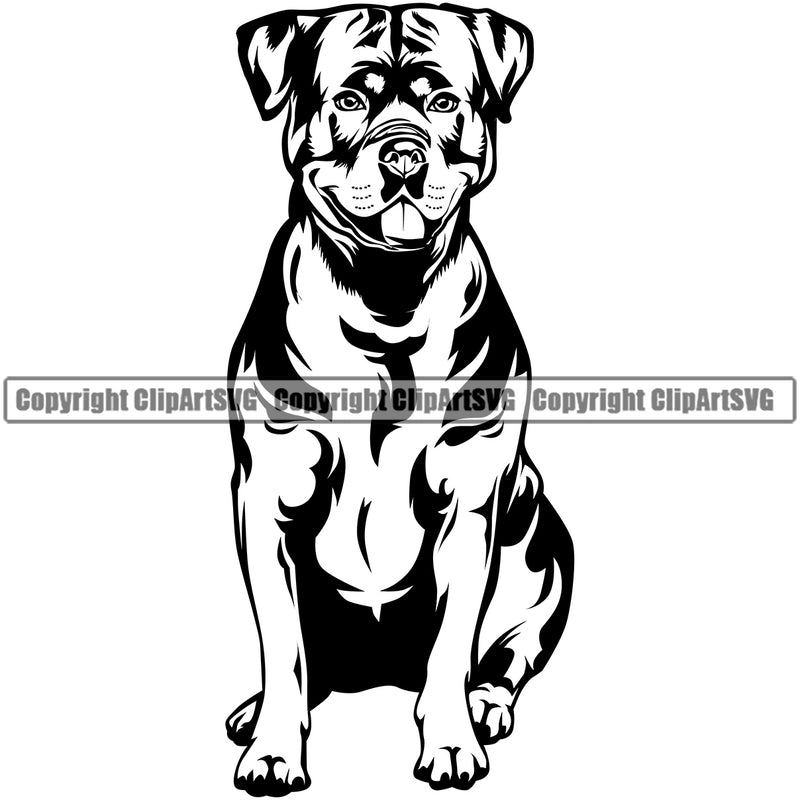 Rottweiler Dog Sitting Design Face Puppy Pup Head Purebred Pedigree Canine K-9 K9 Animal Portrait Doggy Face Cute Vector Clipart SVG