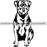 Rottweiler Dog Sitting Design Face Puppy Pup Head Purebred Pedigree Canine K-9 K9 Animal Portrait Doggy Face Cute Vector Clipart SVG