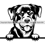 Rottweiler Dog Peeking Smile Face Design Puppy Pup Head Pedigree Canine K-9 K9 Animal Portrait Doggy Face Cute Purebred Vector Clipart SVG