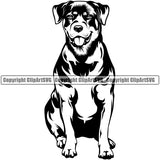 Rottweiler Dog Sitting Design Smile Face Puppy Pup Head Purebred Pedigree Canine K-9 K9 Animal Portrait Doggy Face Cute Vector Clipart SVG