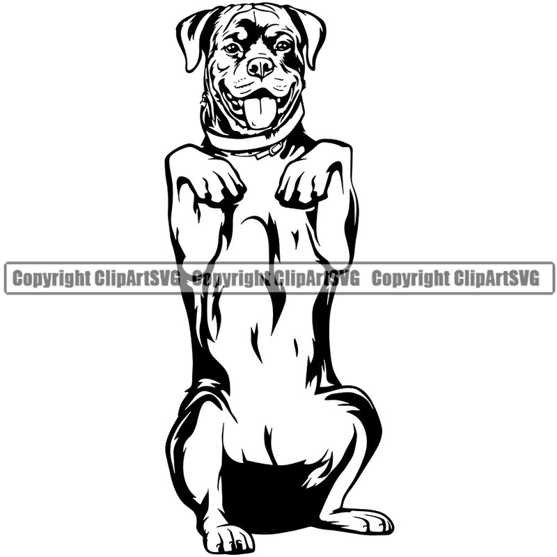 Rottweiler Dog Begging Smile Face Design Puppy Head Purebred Pedigree K-9 K9 Animal Portrait Doggy Face Cute Canine Vector Clipart SVG