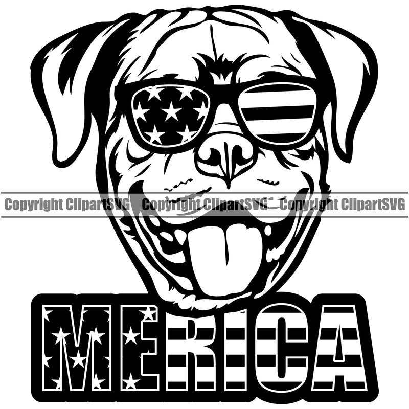 Rottweiler Dog Wearing Sunglasses With Merica Text Smile Face Design Puppy Pup Head Purebred Pedigree Canine K-9 K9 Animal Portrait Doggy Face Cute Vector Clipart SVG