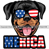 Rottweiler Dog Wearing Sunglasses With Merica Color Text Design Smile Face Puppy Pup Head Purebred Pedigree Canine K-9 K9 Animal Portrait Doggy Face Cute Vector Clipart SVG