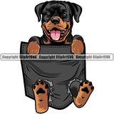 Rottweiler Dog Hanging From Shirt Pocket Design Black Color T-Shirt Tshirt  Puppy Pup Head Purebred Pedigree Canine K-9 K9 Animal Portrait Doggy Face Cute Vector Clipart SVG