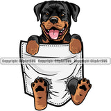 Rottweiler Dog Hanging From Shirt Pocket Smile Face Design Puppy T-Shirt Tshirt Color Head Purebred Pedigree Canine K-9 K9 Animal Portrait Doggy Face Cute Vector Clipart SVG
