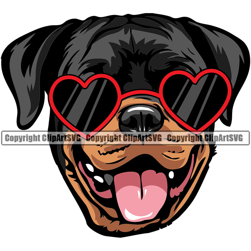 Rottweiler Dog Wearing Sunglasses Smile Face Sun Heart Color Design Puppy Pup Head Purebred Pedigree Canine K-9 K9 Animal Portrait Doggy Face Cute Vector Clipart SVG