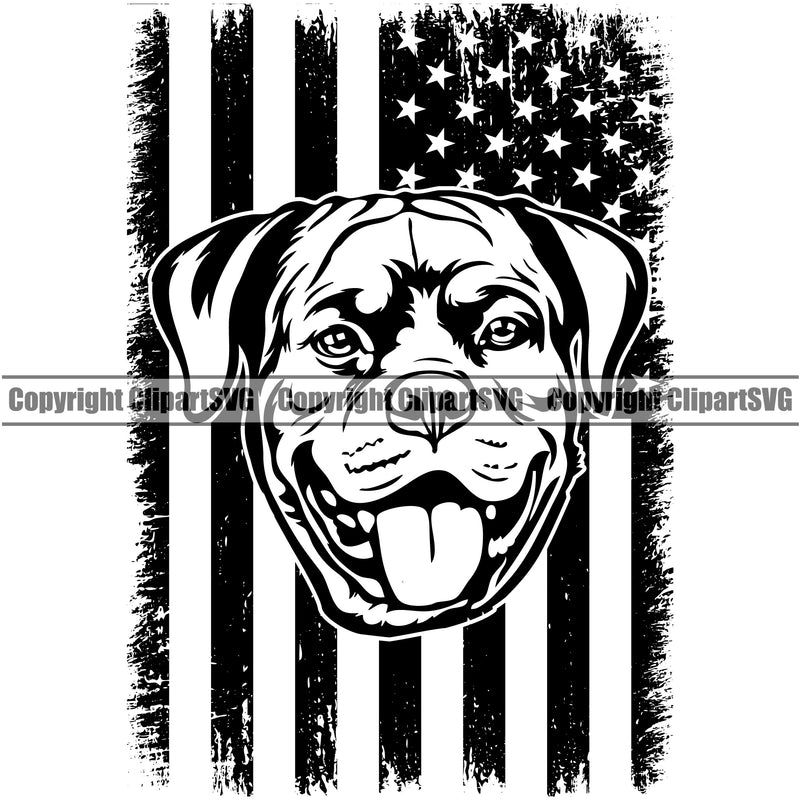 Rottweiler Dog Under USA Flag Smile Face Design Puppy Pup Head Purebred Pedigree Canine K-9 K9 Animal Portrait Doggy Face Cute Vector Clipart SVG