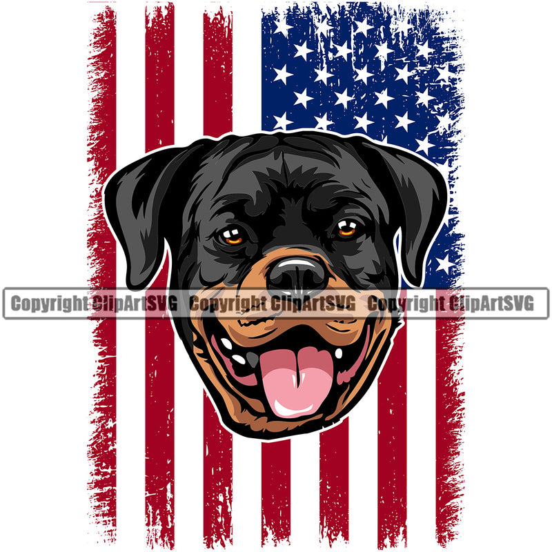 Rottweiler Dog Under USA Flag Face Color Design Puppy Pup Head Purebred Pedigree Portrait Doggy Face Cute Canine K-9 K9 Animal Vector Clipart SVG