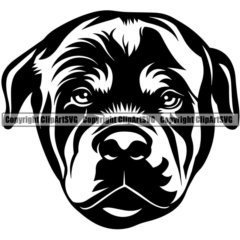 Rottweiler Dog Head Design Smile Face Puppy Purebred Pedigree Canine K-9 K9 Animal Portrait Doggy Face Cute Vector Clipart SVG