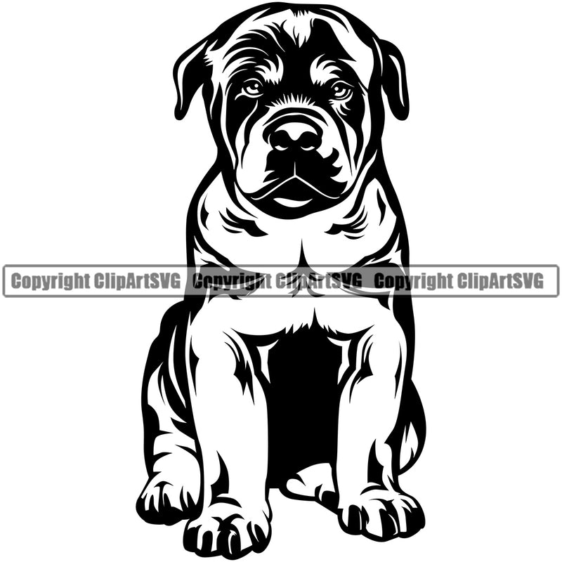 Rottweiler Dog Sitting Design Smile Face Puppy Pup Body Purebred Pedigree Canine K-9 K9 Animal Portrait Doggy Face Cute Vector Clipart SVG