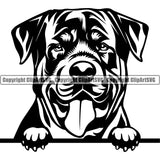 Rottweiler Dog Peeking Design Smile Face Purebred Pedigree Canine K-9 K9 Animal Puppy Pup Head Portrait Doggy Face Cute Vector Clipart SVG