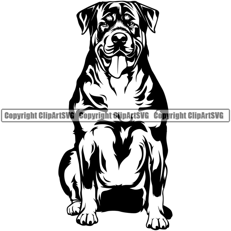 Rottweiler Dog Smile Sitting Design Puppy Pup Head Purebred K9 Animal Portrait Doggy Face Cute Pedigree Canine K-9 Vector Clipart SVG