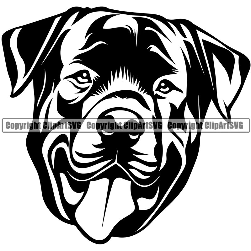 Rottweiler Dog Smile Face Design Puppy Pup Head Canine K-9 K9 Animal Portrait Doggy Face Purebred Pedigree Vector Clipart SVG