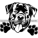 Rottweiler Dog Smile Face Design Puppy Pup Head Animal Portrait Doggy Purebred Pedigree Canine K-9 K9 Face Cute Vector Clipart SVG