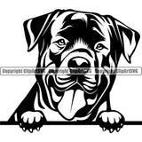 Rottweiler Dog Peeking Position Smile Face Design Puppy Pedigree Canine K-9 K9 Animal Portrait Doggy Face Cute Pup Head Purebred Vector Clipart SVG