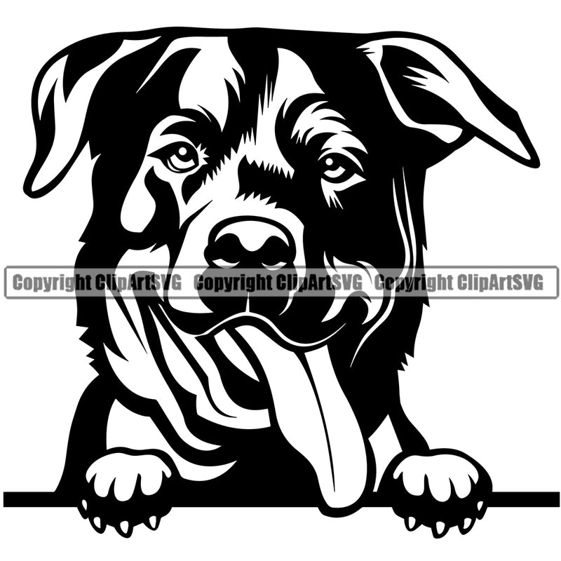 Rottweiler Dog Peeking Design Smile Face Puppy Head Purebred Pedigree Canine K-9 K9 Animal Cute Vector Portrait Doggy Face Clipart SVG
