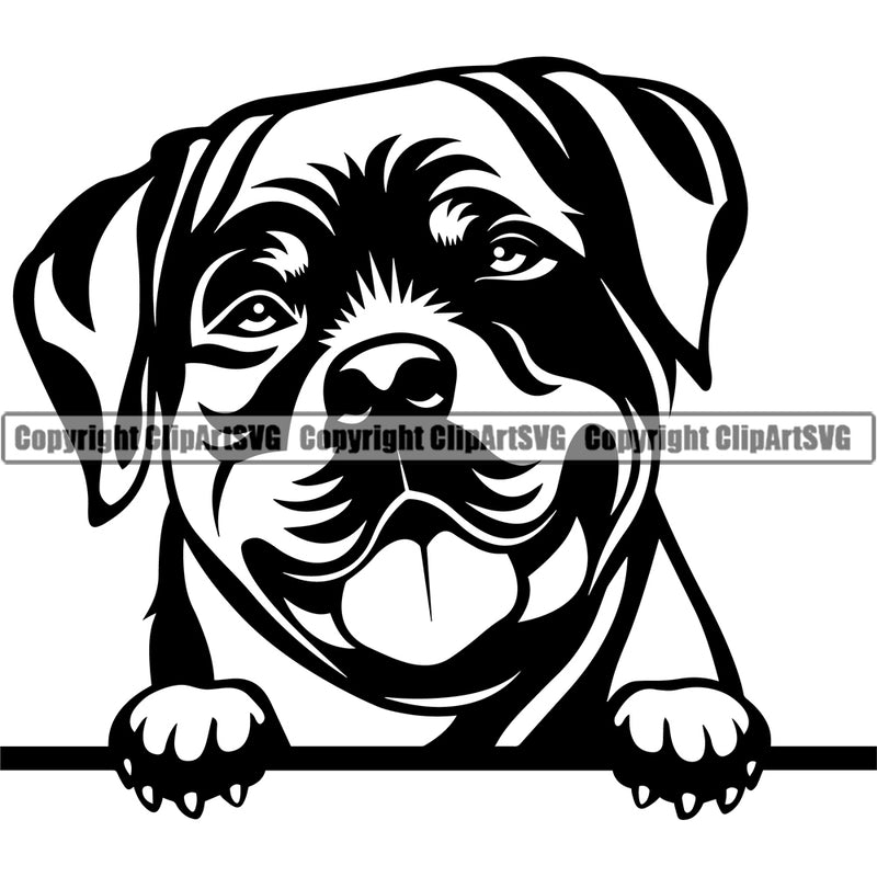 Rottweiler Dog Peeking Smile Face Design Puppy Canine K-9 K9 Animal Portrait Doggy Face Cute Head Purebred Pedigree Vector Clipart SVG