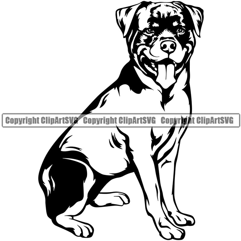 Rottweiler Dog Sitting Design Smile Face Funny Face Puppy Pup Head Purebred Pedigree Canine K-9 K9 Animal Portrait Doggy Cute Body Vector Clipart SVG