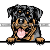 Rottweiler Dog Peeking Position Smile Face Color Design Puppy Pup Head Purebred Pedigree Canine K-9 K9 Animal Portrait Doggy Face Cute Vector Clipart SVG