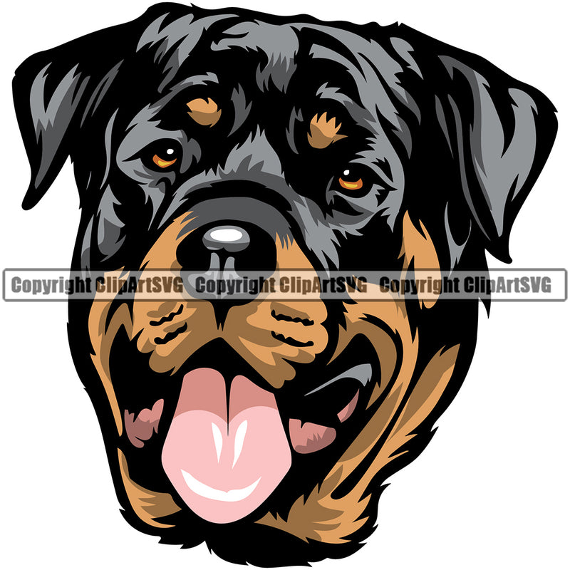 Rottweiler Dog Color Head Smile Face Design Canine K-9 K9 Animal Portrait Doggy Face Cute Puppy Pup Purebred Pedigree Vector Clipart SVG