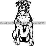 Rottweiler Dog Sitting Design Puppy Pup Head Purebred Pedigree Canine K-9 K9 Animal Portrait Doggy Face Cute Smile Face Vector Clipart SVG
