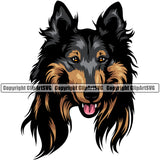 Rough Collie Dog Color Head Smile Face Design Puppy Pup K-9 K9 Animal Portrait Doggy Face Cute Purebred Pedigree Canine Vector Clipart SVG