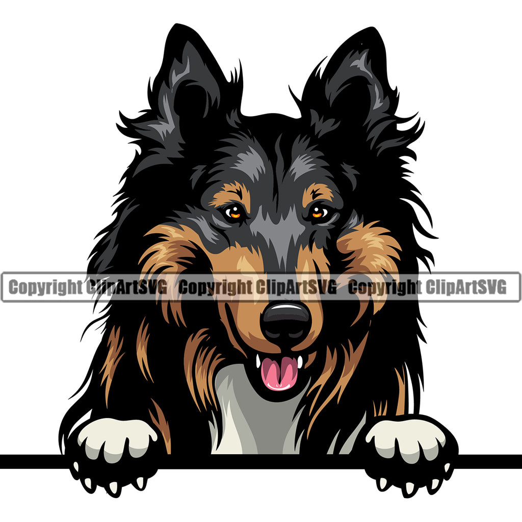 Rough Collie Dog Peeking Design Puppy Pup Head Purebred Pedigree Canine K-9 K9 Animal Portrait Doggy Face Cute Smile Face Vector Clipart SVG