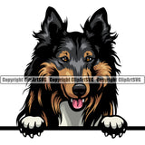 Rough Collie Dog Peeking Design Puppy Pup Head Purebred Pedigree Canine K-9 K9 Animal Portrait Doggy Face Cute Smile Face Vector Clipart SVG