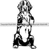 Saint Bernard Dog Smile Face Design Puppy Pup Head Purebred Pedigree Canine K-9 K9 Animal Portrait Doggy Face Cute Vector Clipart SVG