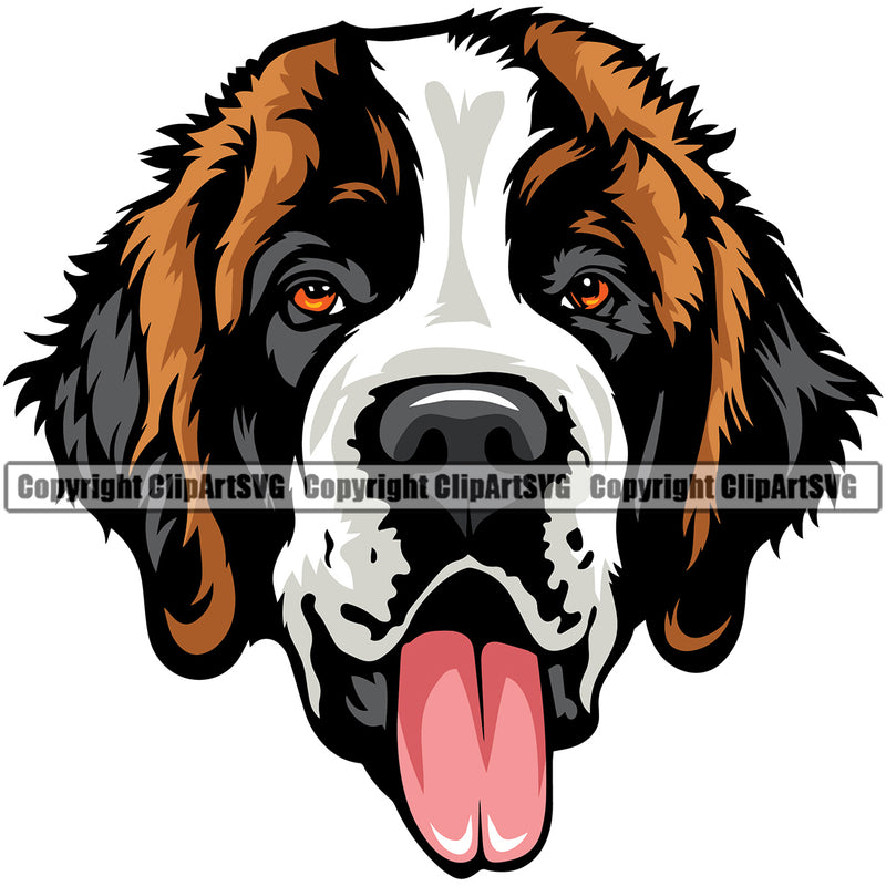 Saint Bernard Dog Color Head Design Puppy Head Purebred Pedigree K-9 K9 Animal Portrait Doggy Face Cute Canine Vector Clipart SVG