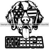 Saint Bernard Dog Wearing Sunglasses  With Merica Text Smile Face Design Puppy Pup Head Purebred Pedigree Canine K-9 K9 Animal Portrait Doggy Face Cute Vector Clipart SVG