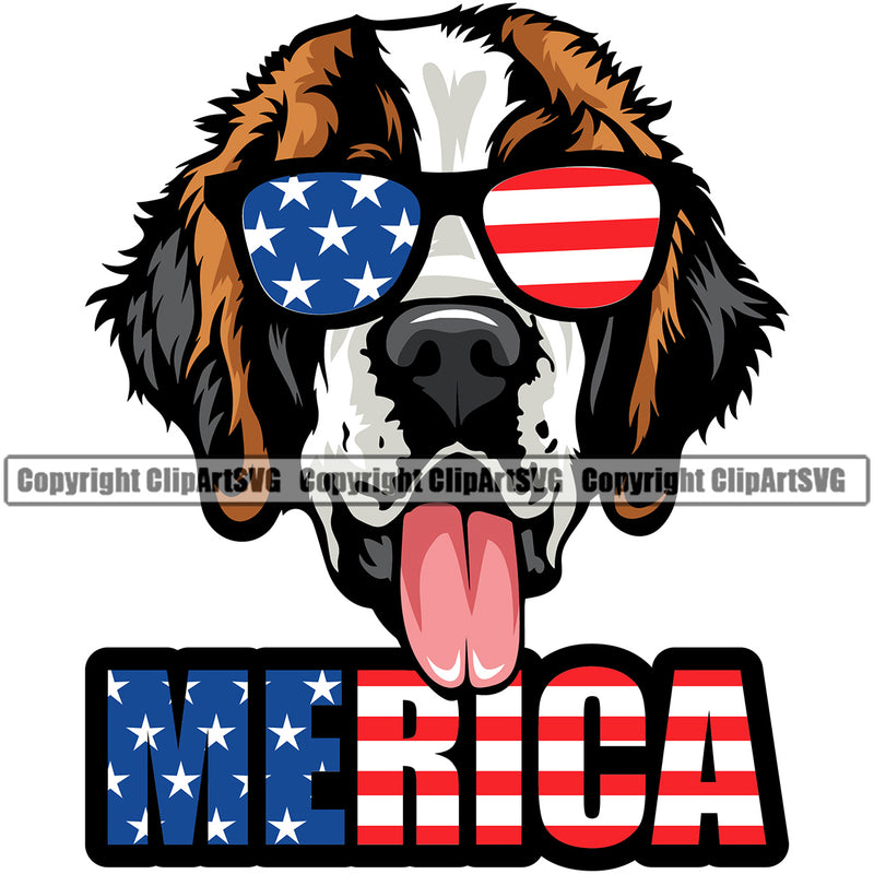 Saint Bernard Dog Wearing Sunglasses With Merica Text Color Design Puppy Pup Head Purebred Pedigree Canine K-9 K9 Animal Portrait Doggy Face Cute Vector Clipart SVG