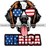Saint Bernard Dog Wearing Sunglasses With Merica Text Color Design Puppy Pup Head Purebred Pedigree Canine K-9 K9 Animal Portrait Doggy Face Cute Vector Clipart SVG