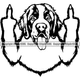 Saint Bernard Dog Middle Finger Design Puppy Pup Head Purebred Pedigree Canine K9 Animal Portrait Cute  Doggy Face Vector Clipart SVG