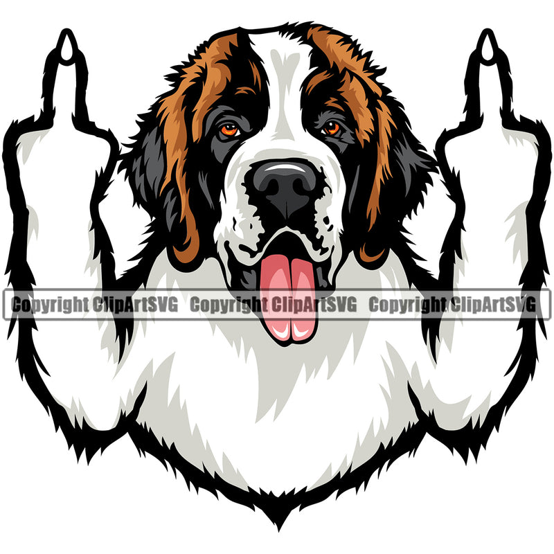 Saint Bernard Dog Middle Finger Color Design Puppy Pup Head Purebred Pedigree Canine K-9 K9 Doggy Face Cute Animal Portrait Vector Clipart SVG