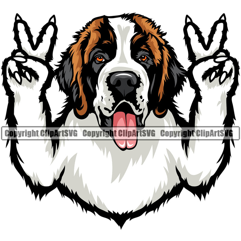 Saint Bernard Dog Peace Hand Sign Color Head Design Puppy PupK-9 K9 Animal Portrait Doggy Face Cute  Purebred Pedigree Canine Vector Clipart SVG