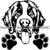 Saint Bernard Dog Peeking Smile Face Design Puppy Pup K-9 K9 Animal Portrait Doggy Face Cute Vector Head Purebred Pedigree Canine Clipart SVG