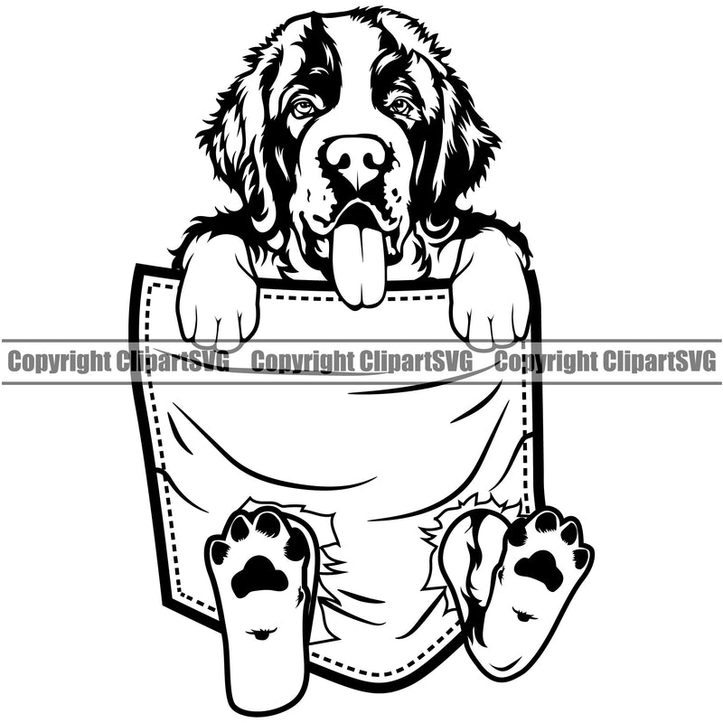 Saint Bernard Dog Hanging From Shirt Pocket Design Puppy Pup Head Purebred T-Shirt Tshirt Pedigree Canine K-9 K9 Animal Portrait Doggy Face Cute Vector Clipart SVG