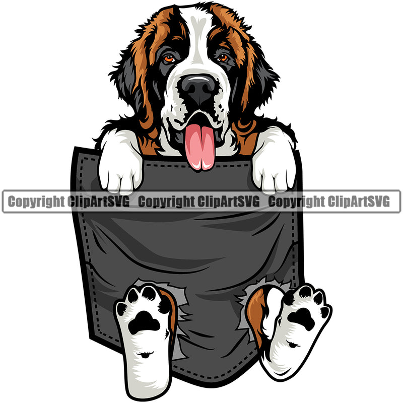 Saint Bernard Dog Hanging From Shirt Pocket Design Puppy T-Shirt Tshirt Pup Head Purebred Pedigree Canine K-9 K9 Animal Portrait Doggy Face Cute Vector Clipart SVG