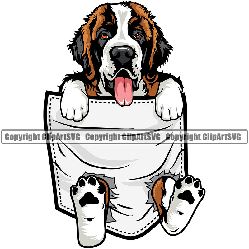 Saint Bernard Dog Hanging From Shirt Pocket Color Design Puppy T-Shirt Tshirt Head Purebred Pedigree Canine K-9 K9 Animal Portrait Doggy Face Cute Vector Clipart SVG