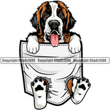 Saint Bernard Dog Hanging From Shirt Pocket Color Design Puppy T-Shirt Tshirt Head Purebred Pedigree Canine K-9 K9 Animal Portrait Doggy Face Cute Vector Clipart SVG