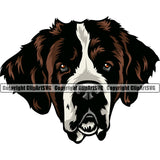 Saint Bernard Color Dog Design Puppy Pup Canine K-9 K9 Animal Portrait Doggy Face Cute Head Purebred Pedigree Vector Clipart SVG