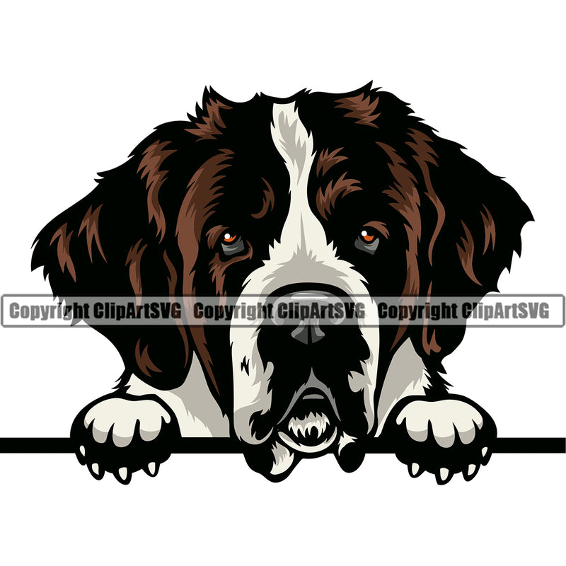 Saint Bernard Peeking Dog Smile Face Black Color Design Puppy Pup Head Purebred Pedigree Canine K-9 K9 Animal Portrait Doggy Face Cute Vector Clipart SVG