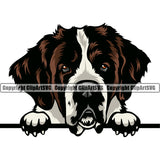 Saint Bernard Peeking Dog Smile Face Black Color Design Puppy Pup Head Purebred Pedigree Canine K-9 K9 Animal Portrait Doggy Face Cute Vector Clipart SVG