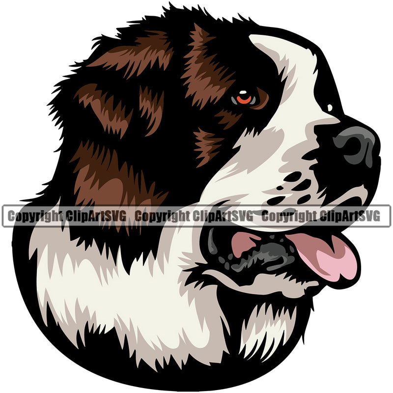 Saint Bernard Dog Color Head Design Puppy Pup K-9 K9 Animal Portrait Doggy Head Purebred Pedigree Canine Face Cute Vector Clipart SVG